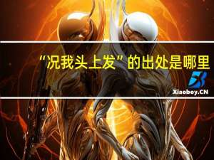 “况我头上发”的出处是哪里