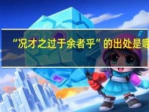 “况才之过于余者乎”的出处是哪里