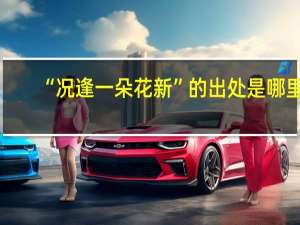 “况逢一朵花新”的出处是哪里