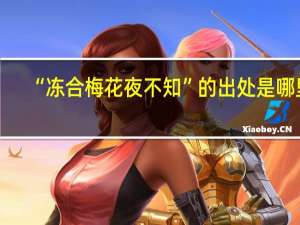 “冻合梅花夜不知”的出处是哪里