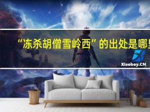 “冻杀胡僧雪岭西”的出处是哪里