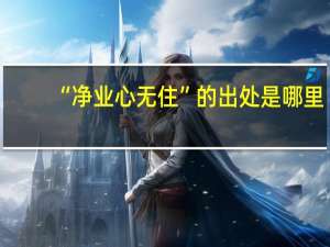 “净业心无住”的出处是哪里