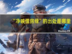 “净映僧房绿”的出处是哪里