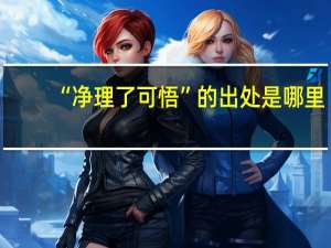 “净理了可悟”的出处是哪里