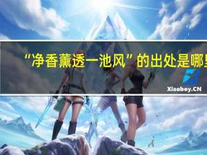“净香薰透一池风”的出处是哪里