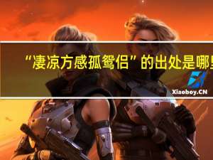 “凄凉方感孤鸳侣”的出处是哪里