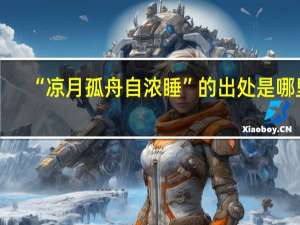 “凉月孤舟自浓睡”的出处是哪里