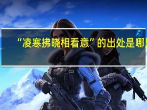 “凌寒拂晓相看意”的出处是哪里