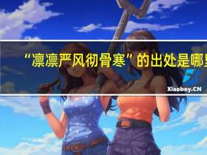 “凛凛严风彻骨寒”的出处是哪里