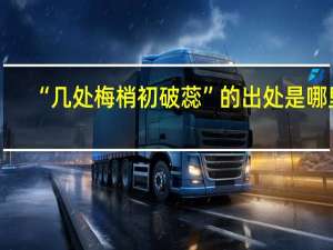 “几处梅梢初破蕊”的出处是哪里