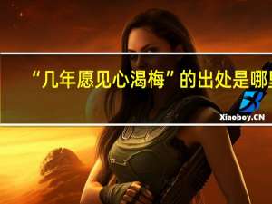 “几年愿见心渴梅”的出处是哪里