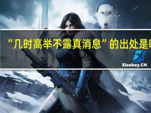 “几时高举不露真消息”的出处是哪里