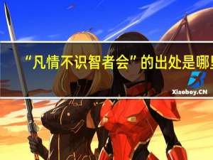 “凡情不识智者会”的出处是哪里