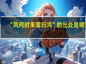 “凤何时来驾归鸿”的出处是哪里