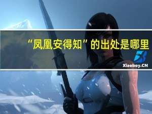 “凤凰安得知”的出处是哪里