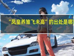 “凤皇养雏飞未高”的出处是哪里