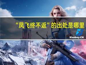 “凤飞终不返”的出处是哪里