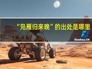 “凫雁归来晚”的出处是哪里