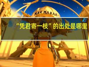 “凭君寄一枝”的出处是哪里