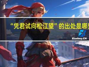 “凭君试向松江望”的出处是哪里