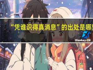“凭谁识得真消息”的出处是哪里