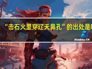 “击石火里穿辽天鼻孔”的出处是哪里
