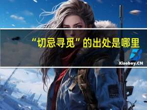 “切忌寻觅”的出处是哪里