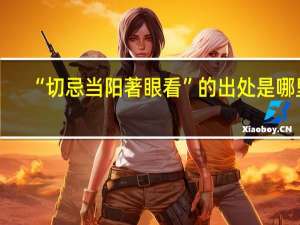 “切忌当阳著眼看”的出处是哪里