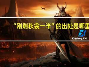 “刚剩秋衾一半”的出处是哪里