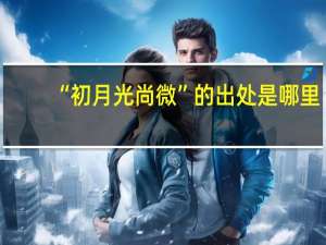 “初月光尚微”的出处是哪里