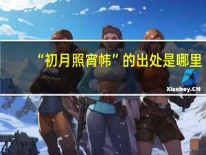 “初月照宵帏”的出处是哪里