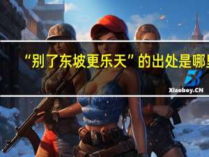 “别了东坡更乐天”的出处是哪里