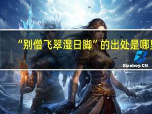 “别僧飞翠湿日脚”的出处是哪里