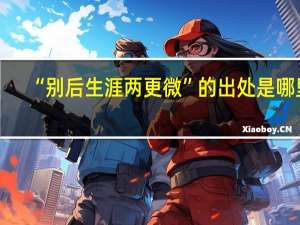 “别后生涯两更微”的出处是哪里