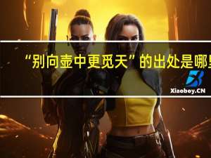 “别向壶中更觅天”的出处是哪里