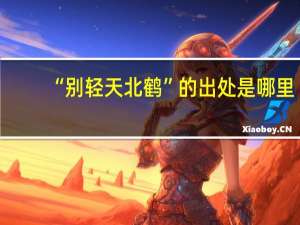 “别轻天北鹤”的出处是哪里
