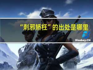 “刺邪矫枉”的出处是哪里