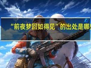 “前夜梦回如得见”的出处是哪里