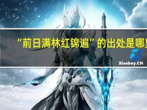“前日满林红锦遍”的出处是哪里