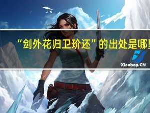 “剑外花归卫玠还”的出处是哪里