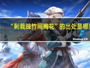 “剩栽疎竹间梅花”的出处是哪里