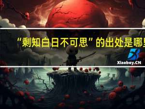 “剩知白日不可思”的出处是哪里