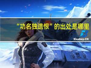 “功名独遗恨”的出处是哪里