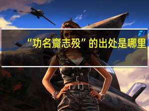 “功名齎志殁”的出处是哪里