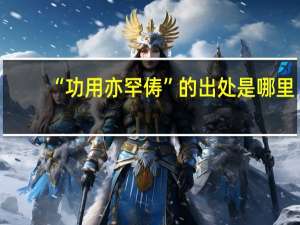 “功用亦罕俦”的出处是哪里