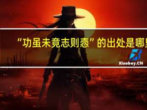 “功虽未竟志则悫”的出处是哪里