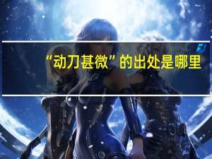 “动刀甚微”的出处是哪里
