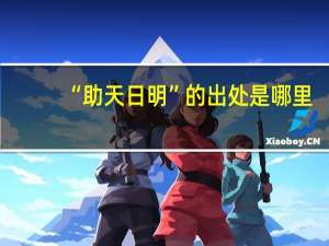 “助天日明”的出处是哪里