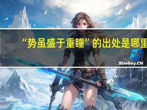 “势虽盛于重瞳”的出处是哪里