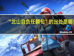 “北山自负任翻句”的出处是哪里